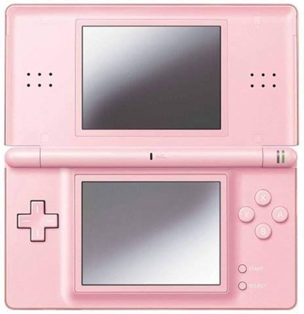Nintendo DS Lite + Charger + Stylus